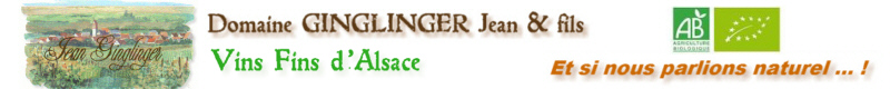 Domaine GINGLINGER Jean & Fils