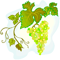 Domaine GINGLINGER Jean & Fils