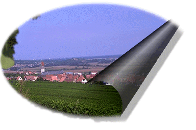 Une vue de Pfaffenheim.
