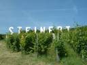 Domaine GINGLINGER Jean