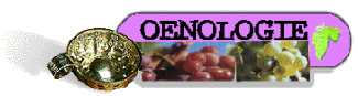 L'Oenologie - cours de d�gustation