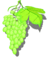 [Image Raisin]