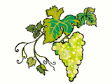 Domaine Ginglinger Jean