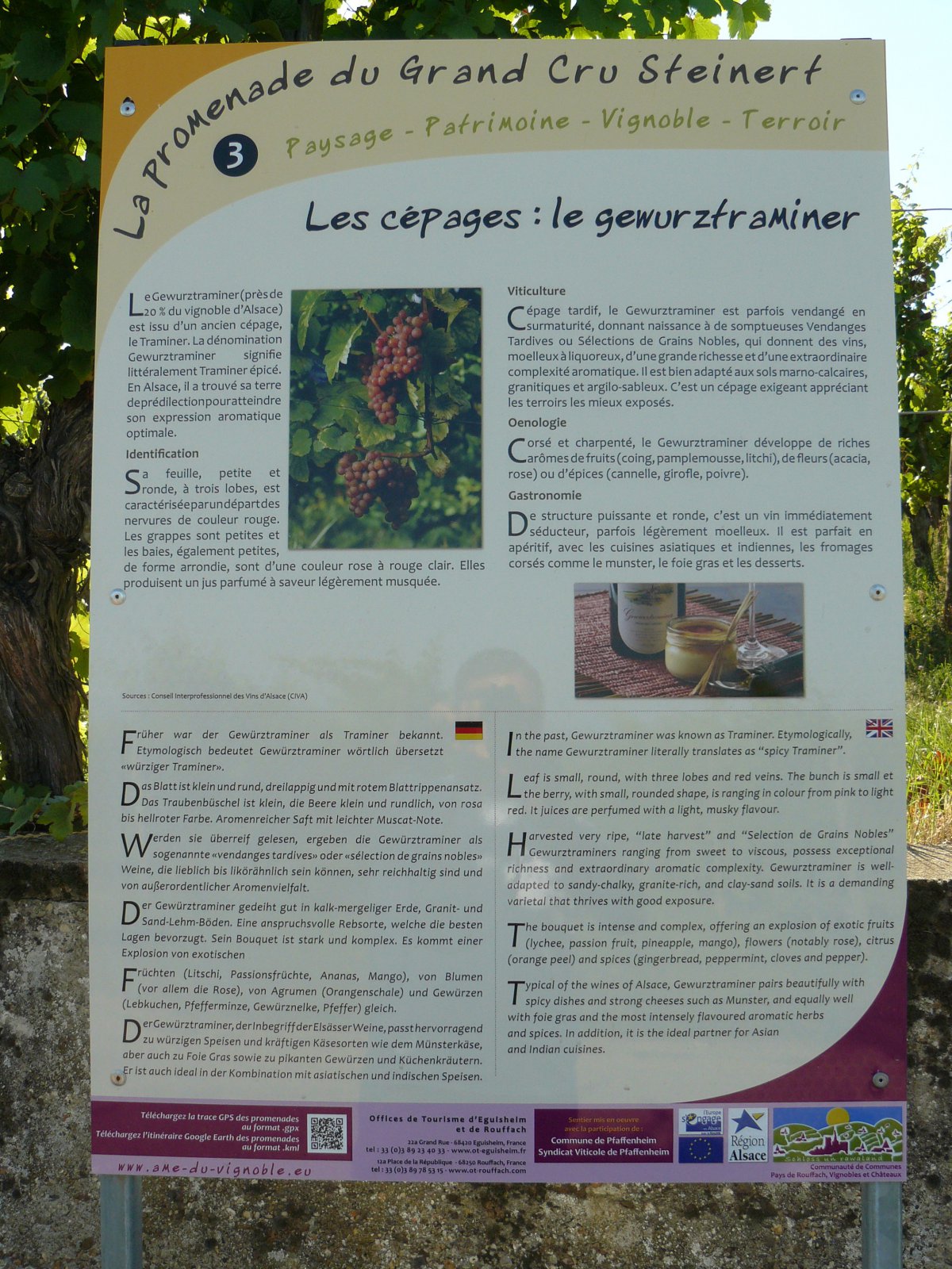 P1060115