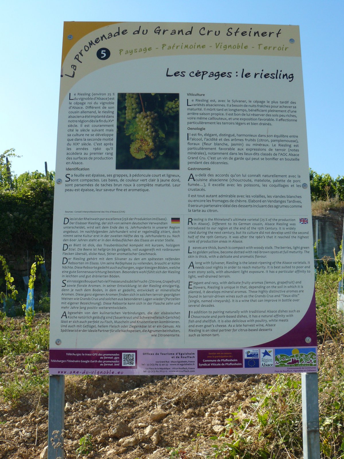 P1060126