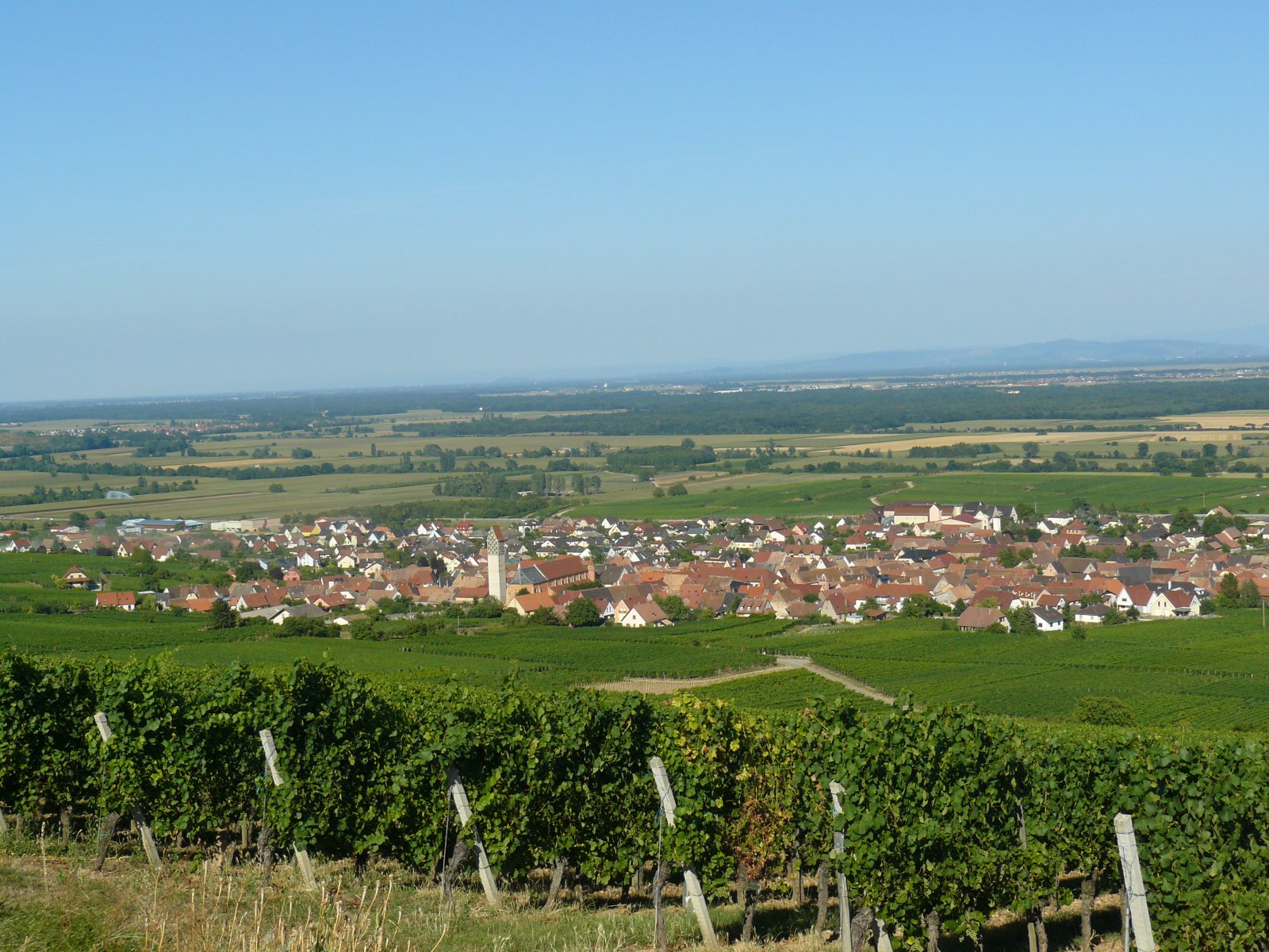 P1060142