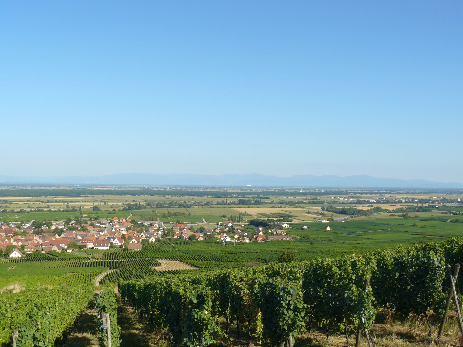 P1060148