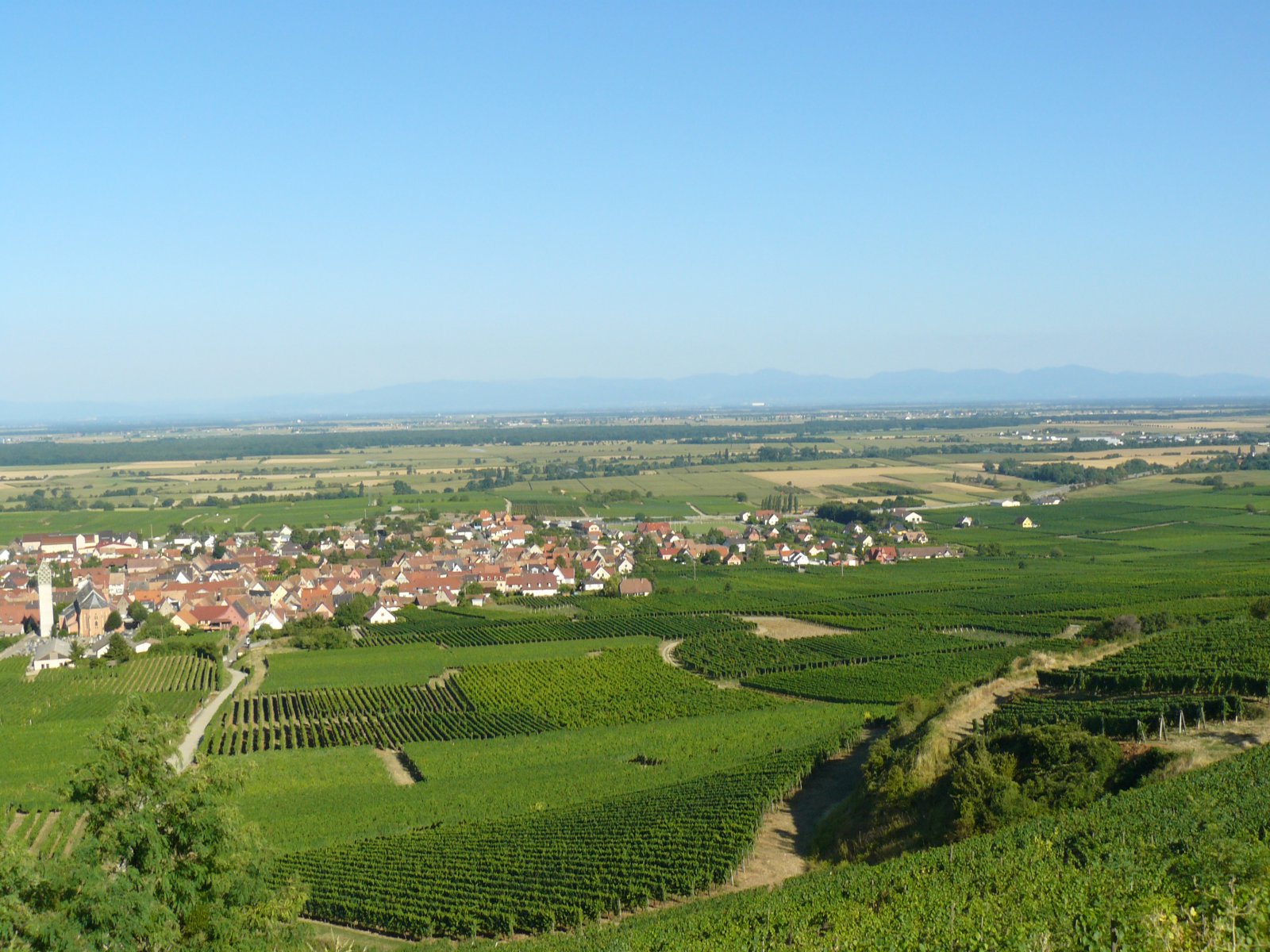 P1060150