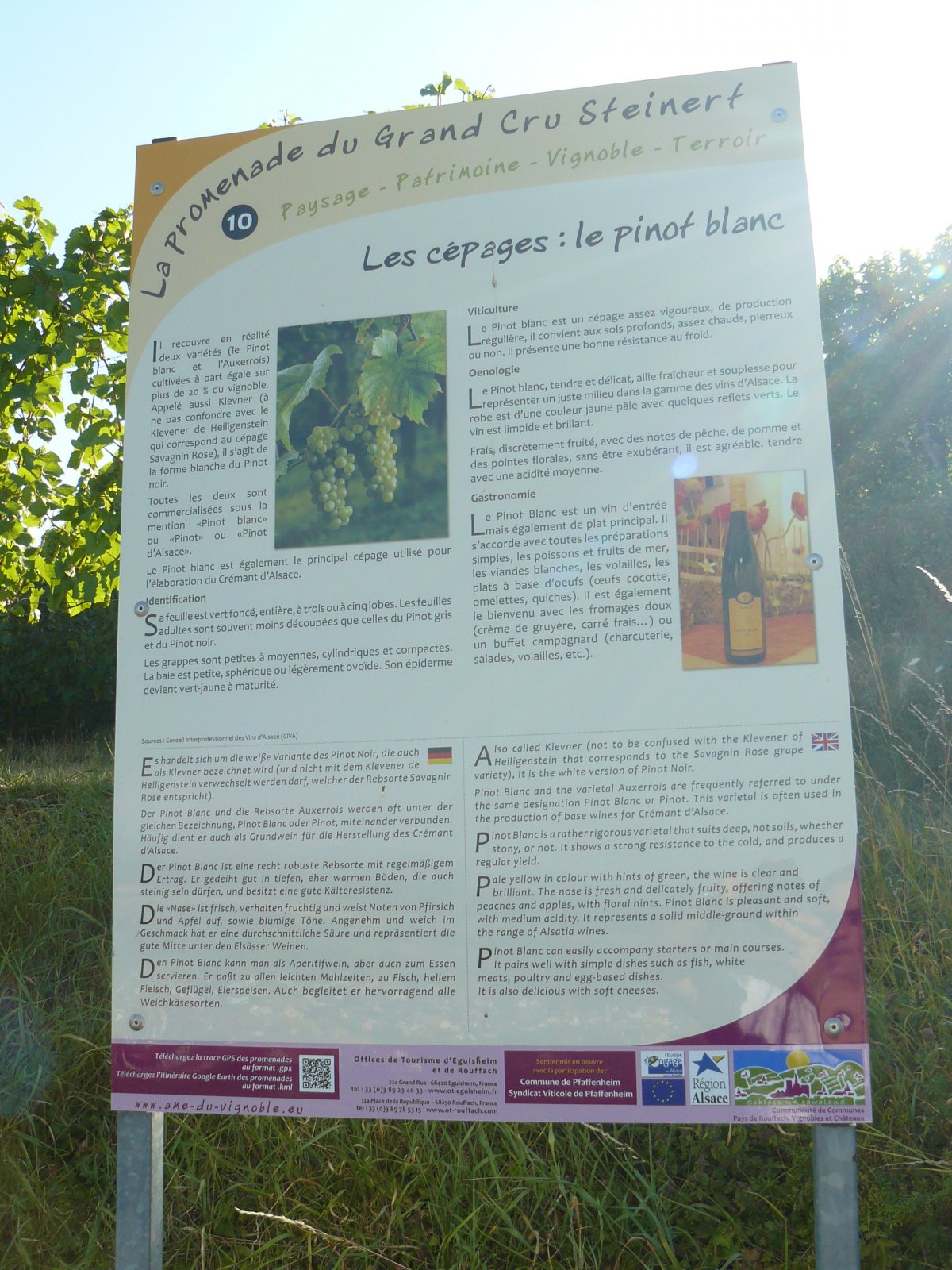 P1060152