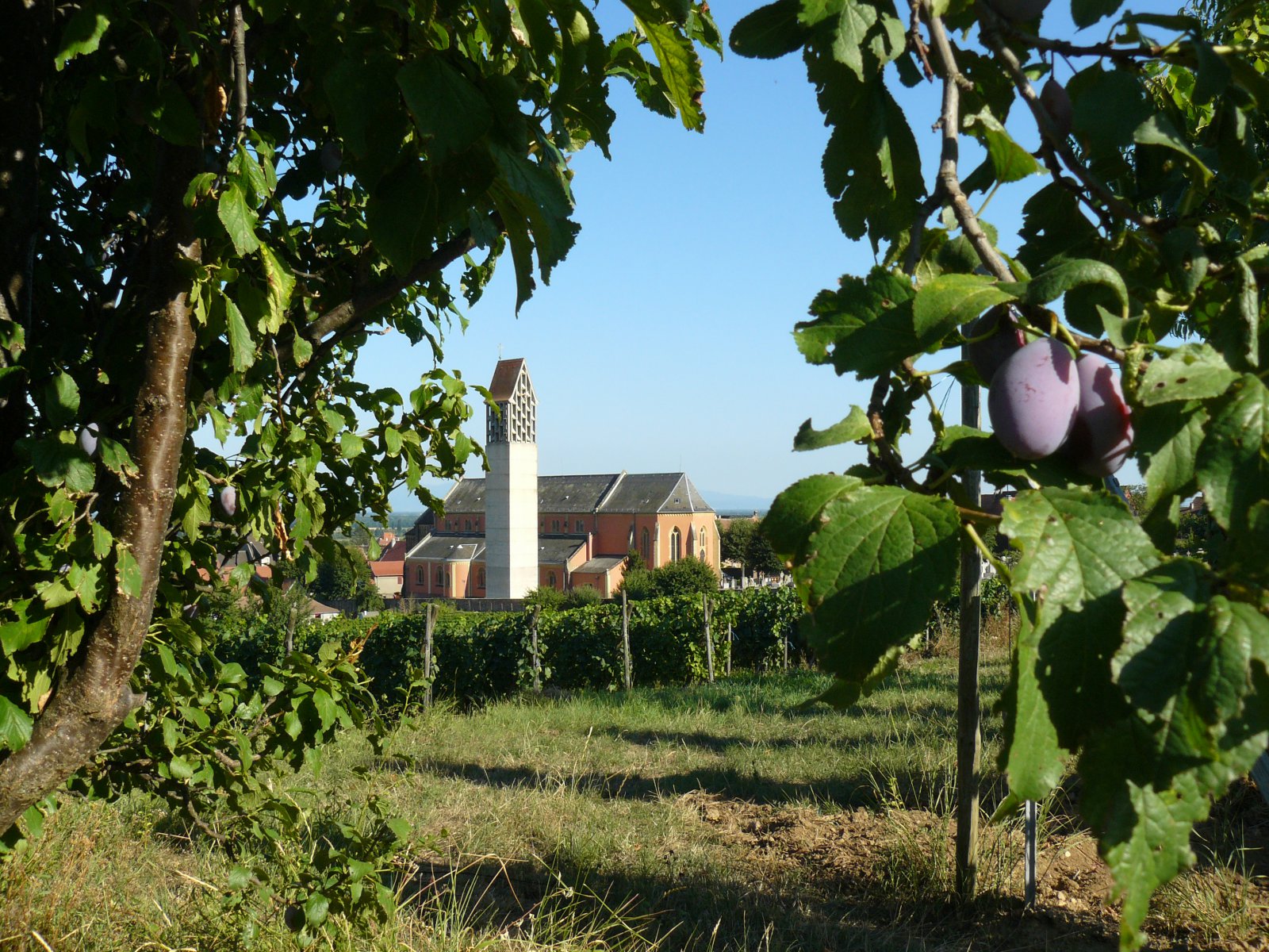 P1060163