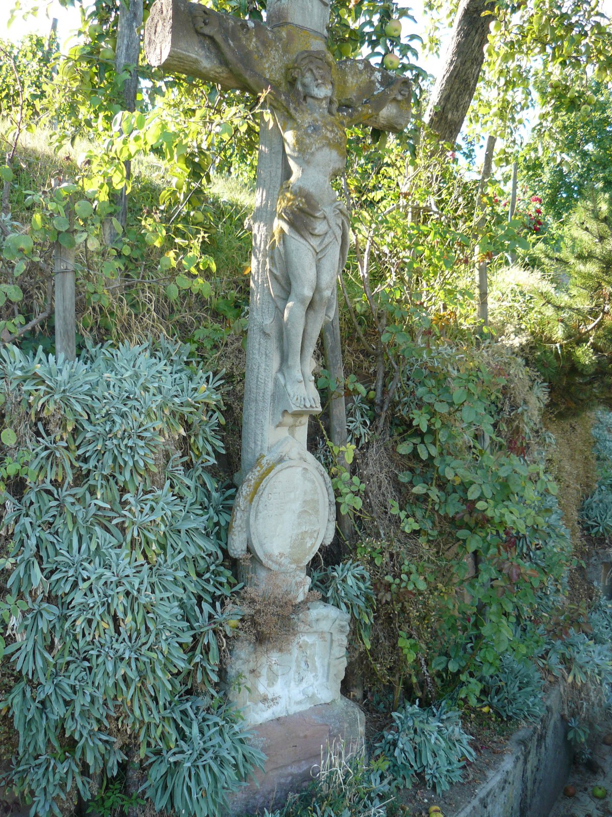 P1060164
