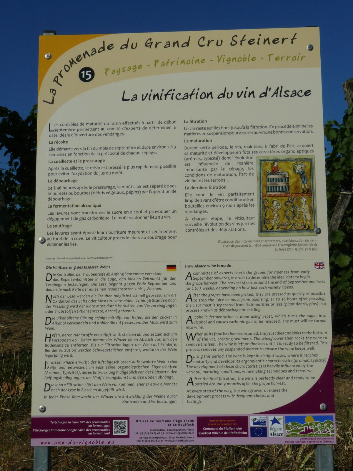 P1060165
